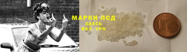 СК Покров