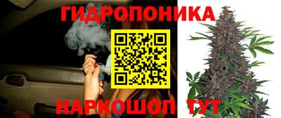 мяу мяу мука Балашиха