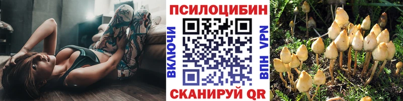 Псилоцибиновые грибы Cubensis  Белебей 