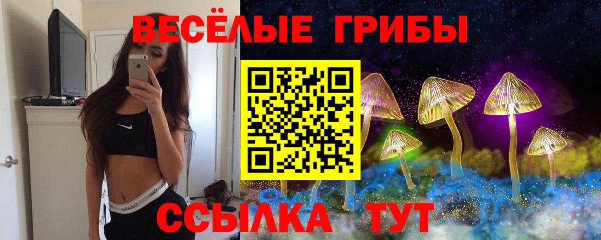 Галлюциногенные грибы прущие грибы  Вход с VPN  Белебей 